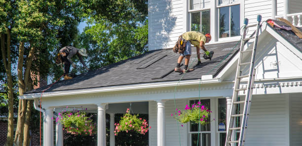 Best Roof Inspection  in USA